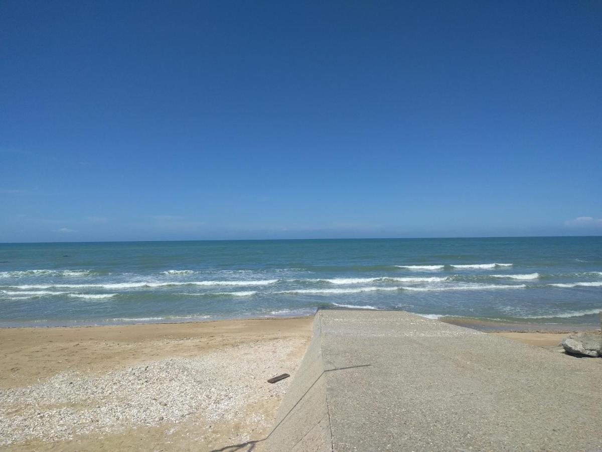 Le Cocon d'Estelle Grand Studio vue mer, 30m de la plage Villers-sur-Mer Exterior foto
